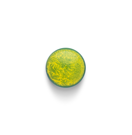 Pralinka Citrón Rozmarýn